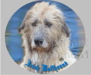 Bitte hier klicken / Please cklic here