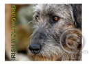 bitte hier klicken - please click here