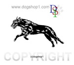 iw-s31-03-shopi